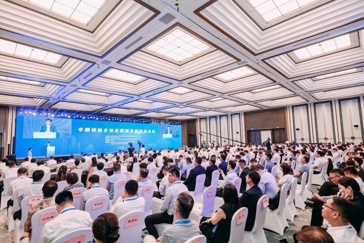 浙江省计算机信息系统集成行业协会 赋能信息系统集成服务高质量发展